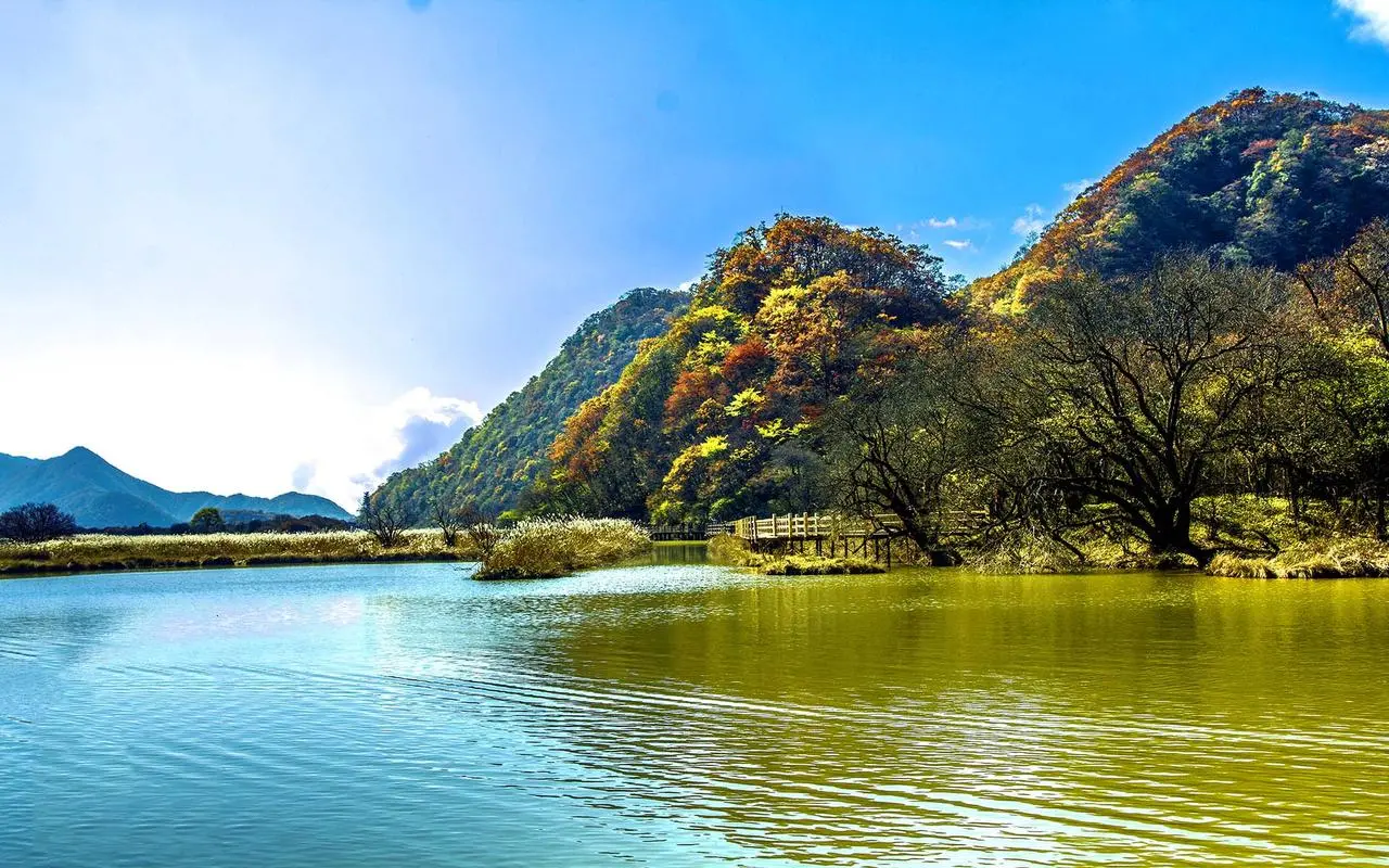 科技独特